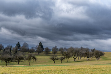 Wandern am Witthoh