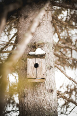 Vogelhaus am Baum 