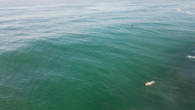 surfer paddling in the blue ocean sunny day waiting for wave lacanau biarritz anglet Basque Country gironde France surf spot summertime surfing good feeling salty view from drone above aerial top