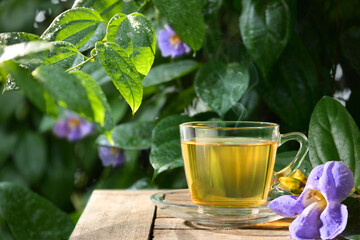 Laurel clock vine (Thunbergia laurifolia) tea on wooden table Laurel clock vine plant background.