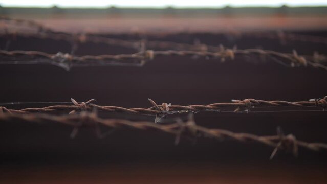 Rusted Barbed Wire Metal Fence with Sharp Spikes High Quality 4K Slow motion Close Up Footage, Prison Wall or Immigration Freedom War Concept.