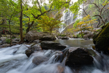 Khonglan waterfall rain forest Thailand
