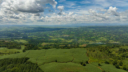 Aerial view of farmland with sugar cane in the countryside. Negros, Philippines