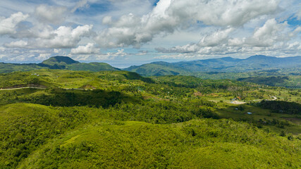 Aerial drone of farming and growing plants in a mountain valley. Negros, Philippines