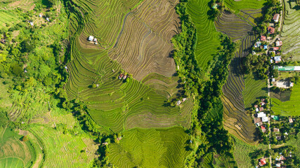 Aerial view of farmland with rice terraces in the countryside. Negros, Philippines.