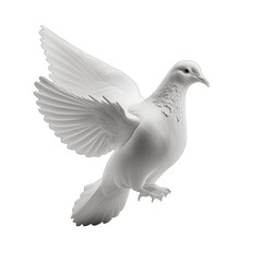 White dove isolated on transparent background. White pigeon transparent realistic isolated vector illustration. Flying dove