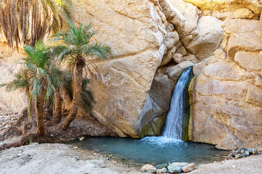 The amazing Waterfall Chebika, Tunisia