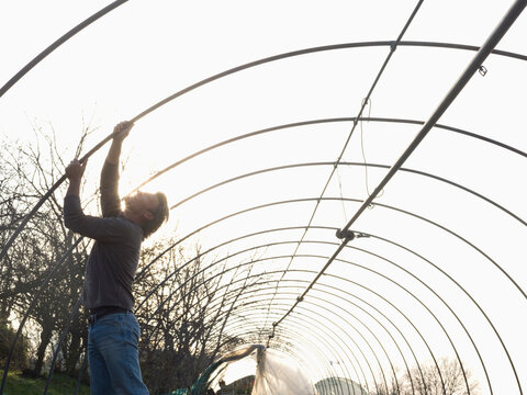 Man repairs support in green house