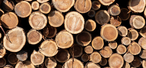 積み上げられた丸太