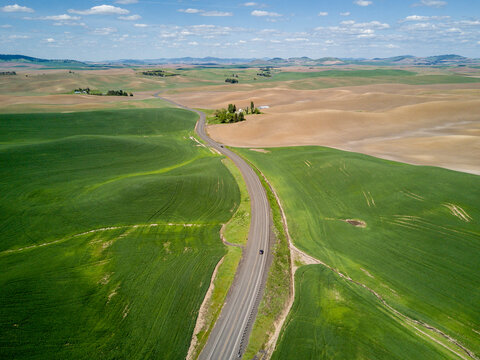 Scenery with rolling hills and road, Pullman, Palouse, Washington State, USA