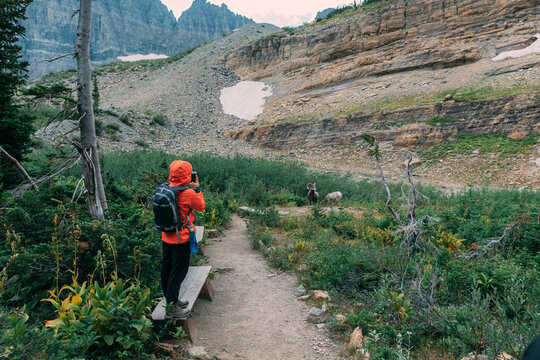 A girl is taking a picture on a beautiful mountain trail on Glacier National Park, Montana