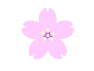 桜の花