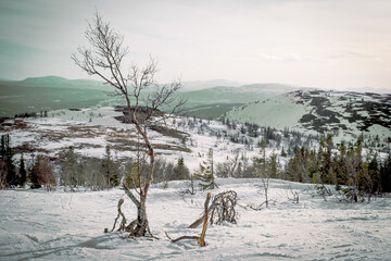 Åre mountain tops at winter in Sweden