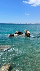 Fototapeta na wymiar sea lion on the rocks