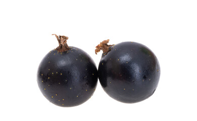 blackcurrant berries isolated