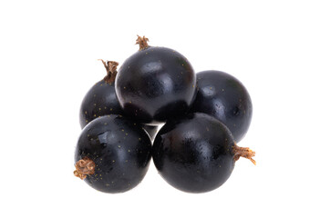 blackcurrant berries isolated
