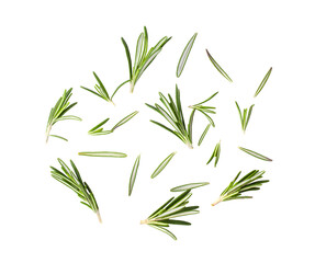 Rosemary isolated on transparent png