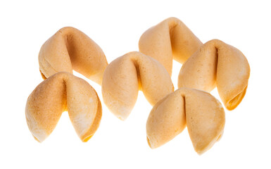 fortune cookie isolated