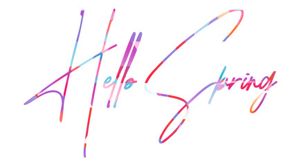 Hello Spring lettering phrase on blank background. Modern calligraphy inspirational quote. Vector illustration. 