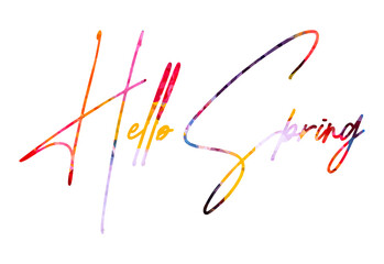 Hello Spring lettering phrase on blank background. Modern calligraphy inspirational quote. Vector illustration. 