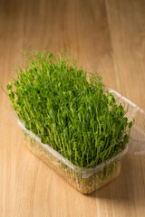 Sprouts of sprouted peas, microgreens in a box