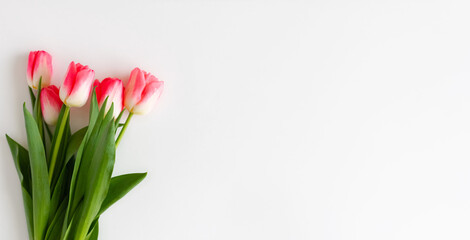 Pink tulip flowers bouquet on white background. Flat lay, top view. Selective focus. Shallow depth of field. Banner