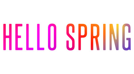 Hello Spring lettering phrase on blank background. Modern calligraphy inspirational quote. Vector illustration. 