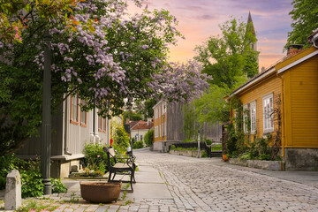 Fototapeta na wymiar residential district Bakklandet, Trondheim