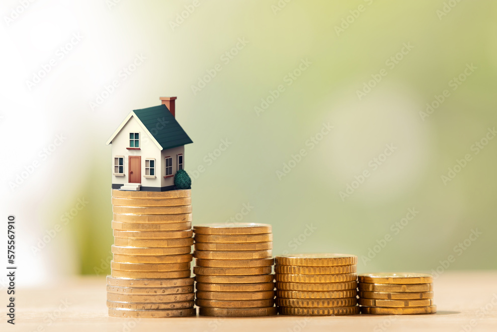 Wall mural rising stacked coins with house