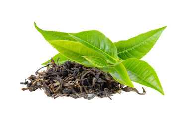 fresh green tea leaf and dry  isolated on transparent png