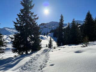 Wonderful winter hiking trails and traces in the fresh alpine snow cover of the Swiss Alps and over the tourist resort of Arosa - Canton of Grisons, Switzerland (Schweiz)