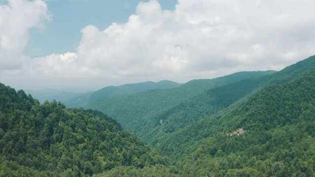 Aerial view of Forest in Zonguldak. 4K Footage in Turkey