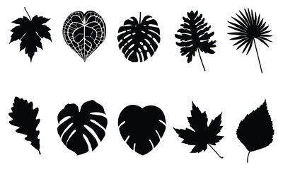 set of leaf silhouette vector . EPS 10