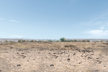Drought field