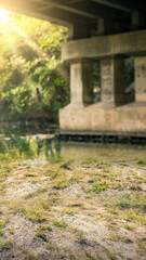 Obraz premium Green grass in the field