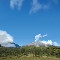 Meadow field with mountain