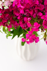 Beautiful summer carnation flowers in a white vase, part of home interior
