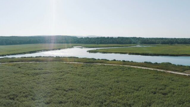 Igneada Longoz floodplain forests in summer