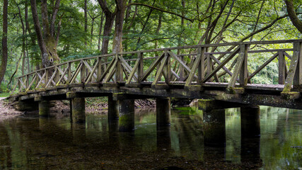 Fototapeta na wymiar small old bridge in the forest