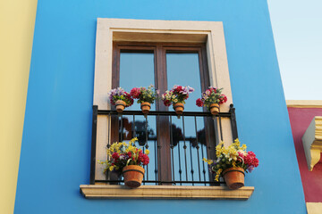 Building with beautiful window, balcony and potted flowers