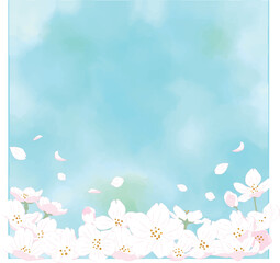 Fototapeta na wymiar 水彩画背景に桜のイラスト｜下部に花｜正方形