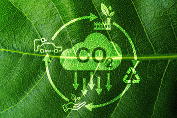 CO2 reducing icon on green leaf with circular for decrease CO2 , carbon footprint and carbon credit...