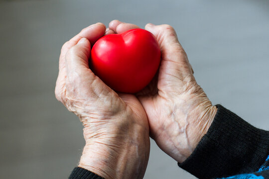 Elderly grandmother woman holding a red heart in her palms, close-up hands, a symbol of care and love