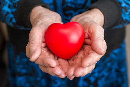 Elderly grandmother woman holding a red heart in her palms, close-up hands, a symbol of care and love