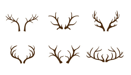 Deer and elk antlers set. Bone branching natural decoration