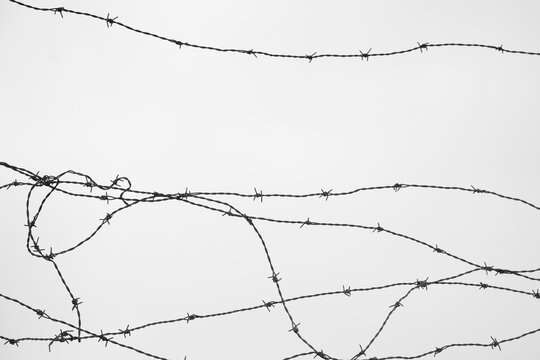 barbed wire protecting a property or defense on a white background