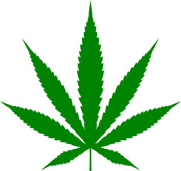 Cannabis leaf vector icon. Marijuana legalize symbol, marijuana or hemp icon, cannabis medical sign vector illustration.