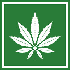 Cannabis leaf vector icon. Marijuana legalize symbol, marijuana or hemp icon, cannabis medical sign vector illustration.