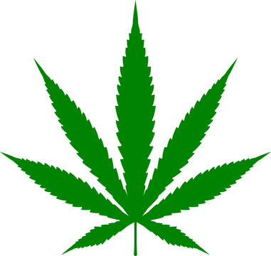 Cannabis leaf vector icon. Marijuana legalize symbol, marijuana or hemp icon, cannabis medical sign vector illustration.