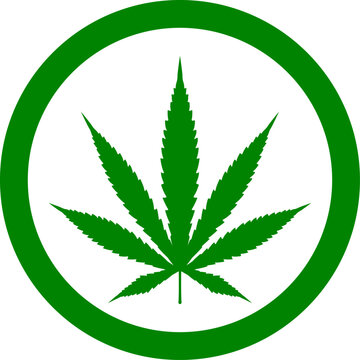 Cannabis leaf vector icon. Marijuana legalize symbol, marijuana or hemp icon, cannabis medical sign vector illustration.